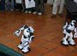 CIITI 2006 Rosario